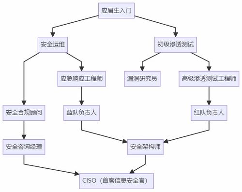 計算機生求職避坑指南 選網絡安全，比卷開發香太多