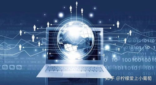 網絡技術服務項目的雙重維度評估 需求端與產品端的精準對接